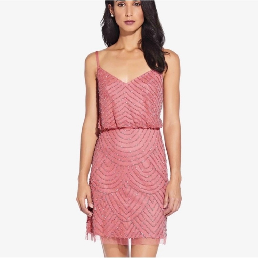 NWT Adrianna Papell Blouson Bead Mini Dress Sugar Poppy Size 0